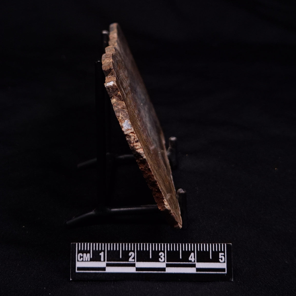 STROMATOLITE MICROBIAL MAT, Strelley Pool Formation, Archean, Australia ZSP046