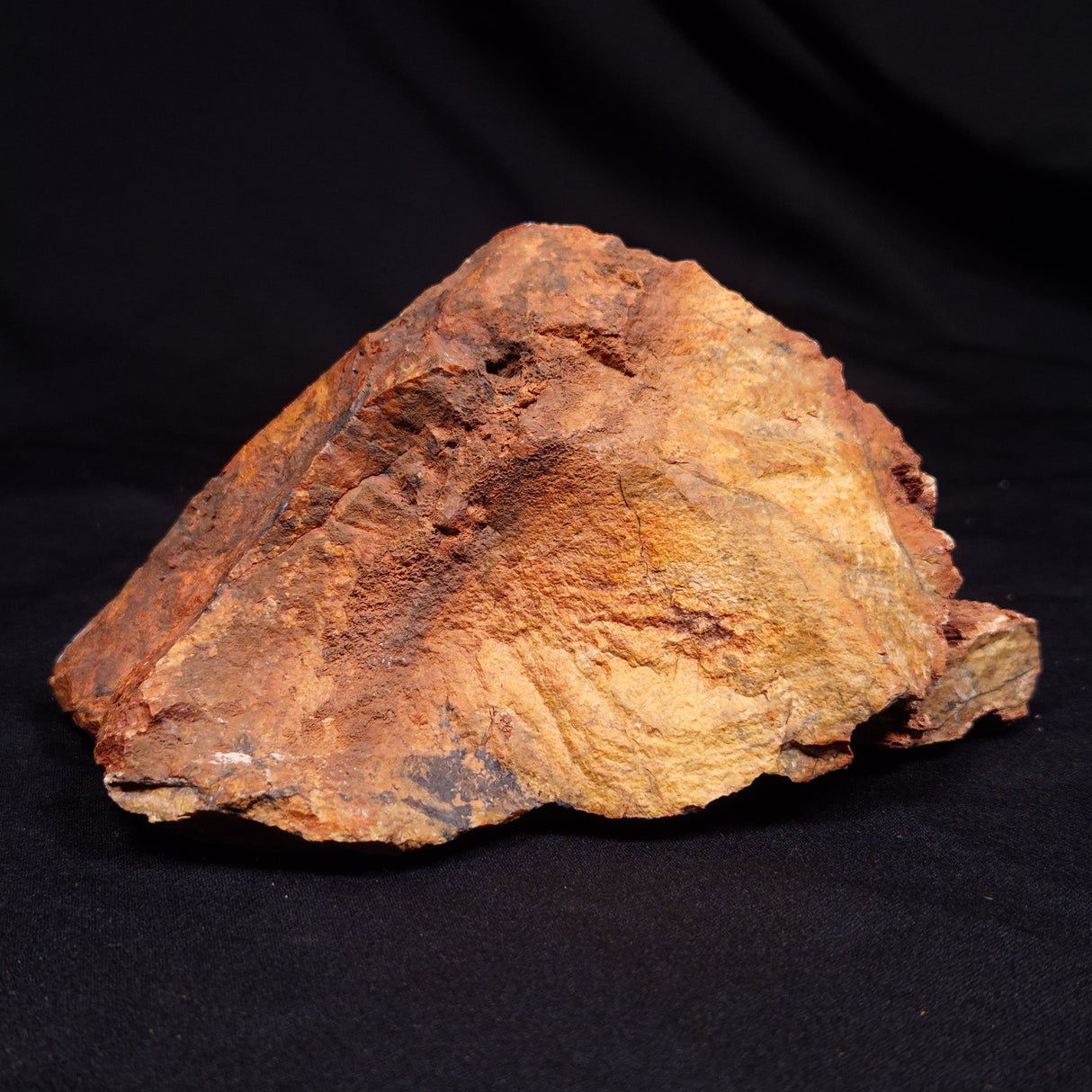 STROMATOLITE MICROBIAL MAT, Strelley Pool Formation, Archean, Australia ZSP061
