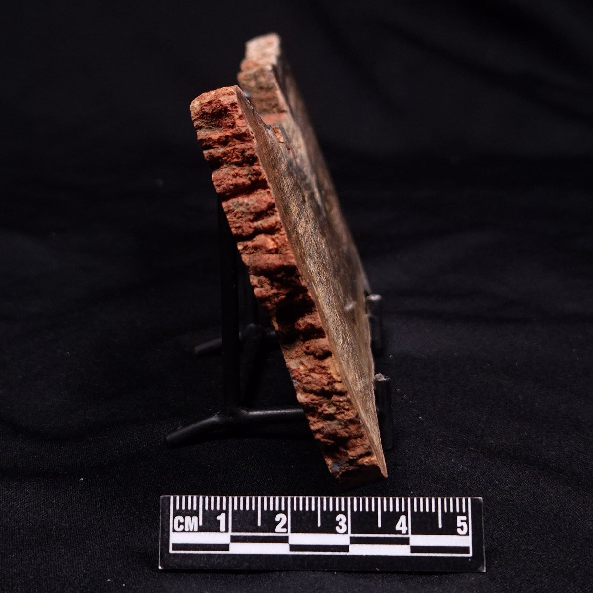 STROMATOLITE MICROBIAL MAT, Strelley Pool Formation, Archean, Australia ZSP048