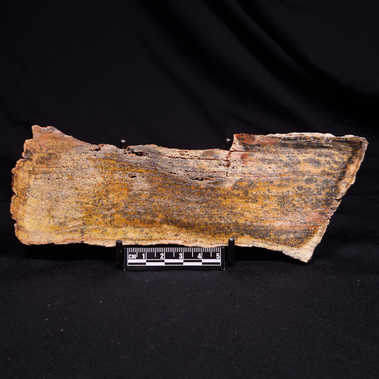 STROMATOLITE MICROBIAL MAT, Strelley Pool Formation, Archean, Australia ZSP049