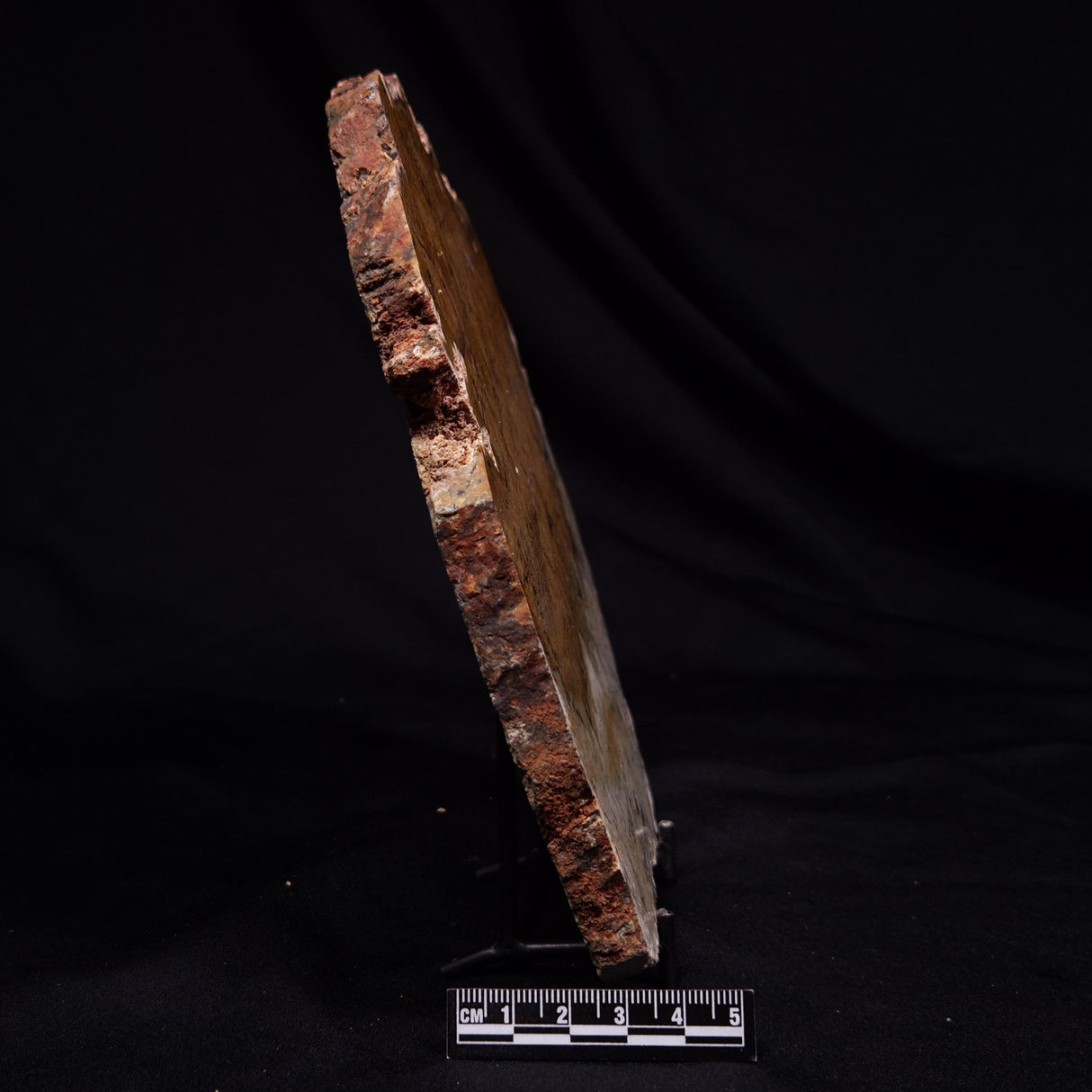 STROMATOLITE MICROBIAL MAT, Strelley Pool Formation, Archean, Australia ZSP063