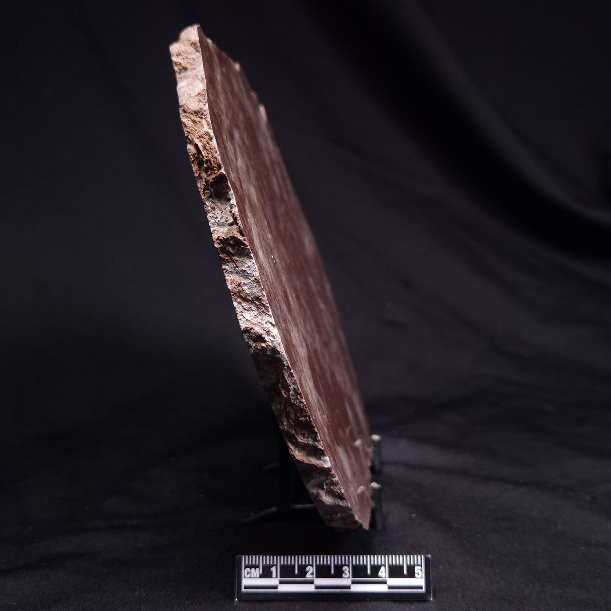 KUSSOIDELLA CF. LIMATA, Paleoproterozoic, Canada ZKL009