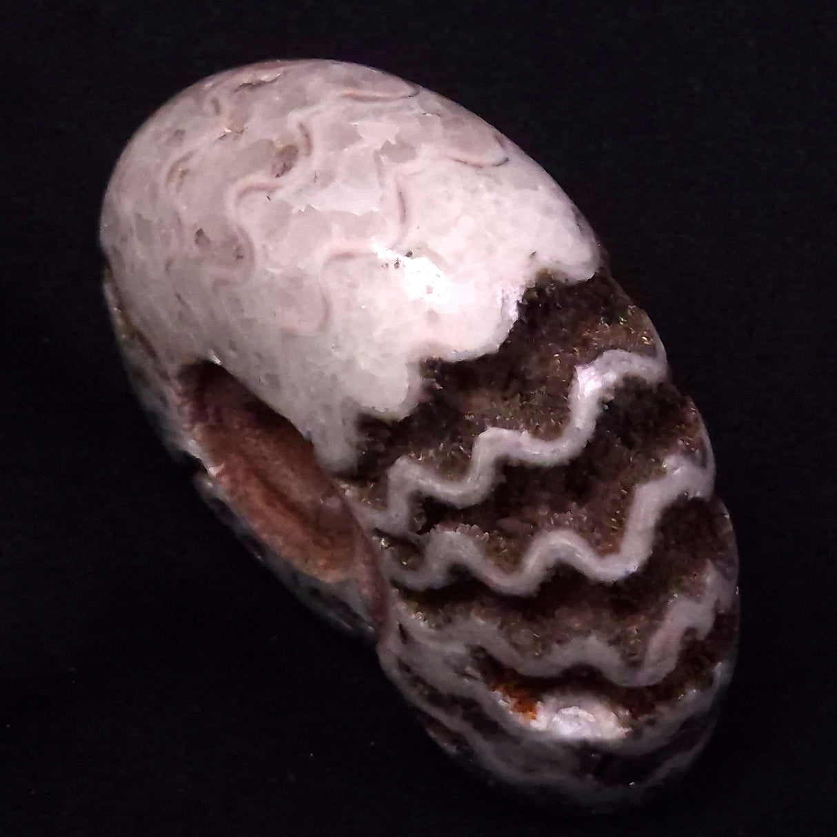 FLUORESCENT AMMONITE, East Timor XAT030