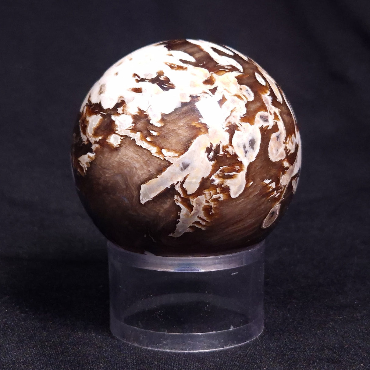 PEANUT WOOD PETRIFIED WOOD SPHERE, Cretaceous, Australia YPS002
