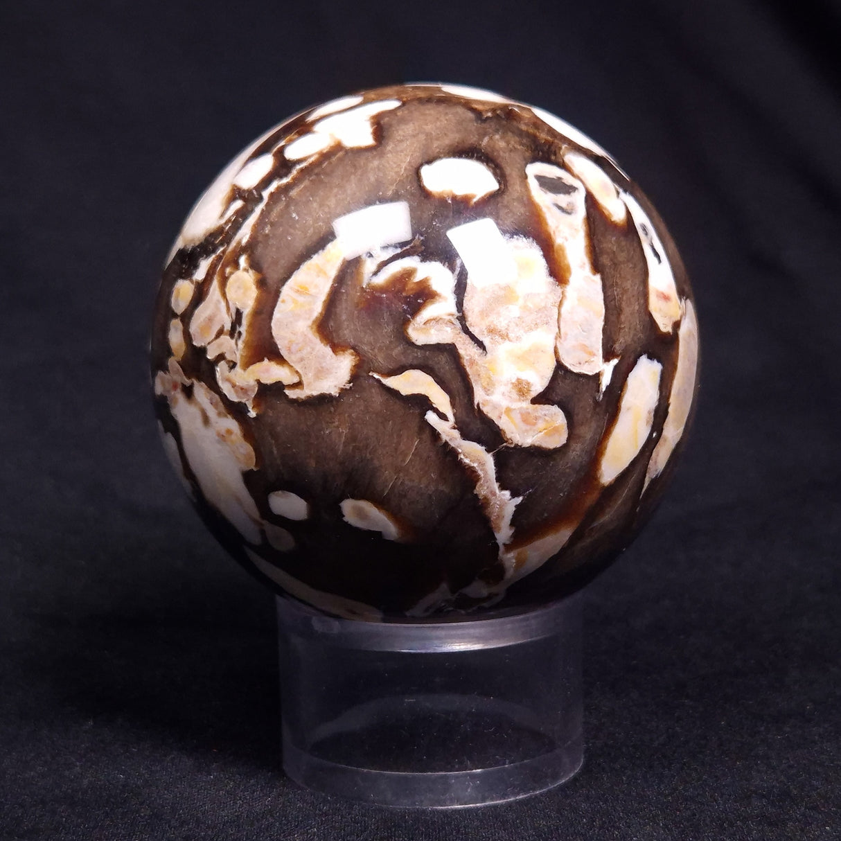 PEANUT WOOD PETRIFIED WOOD SPHERE, Cretaceous, Australia YPS007