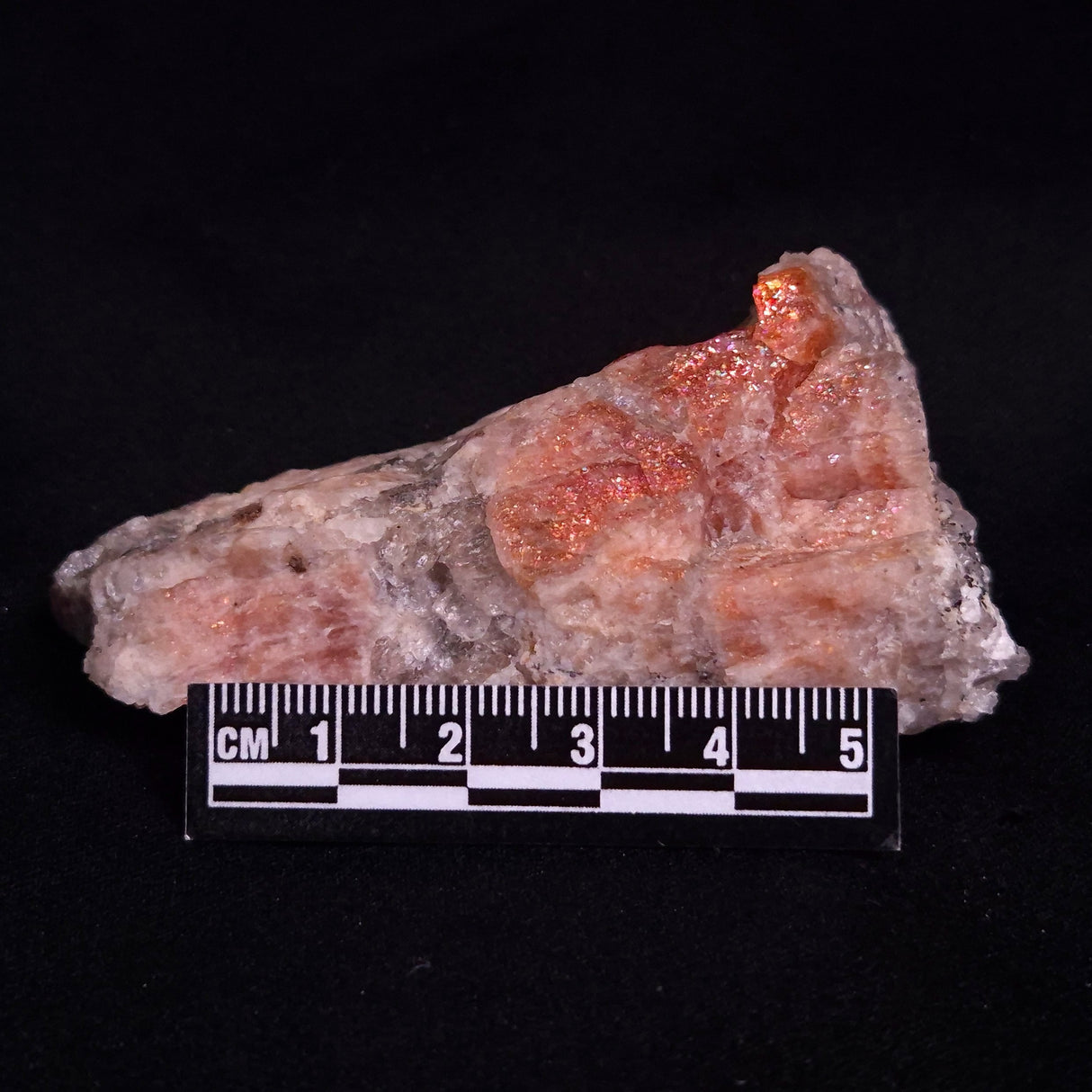 CONFETTI SUNSTONE, Australia XSU007