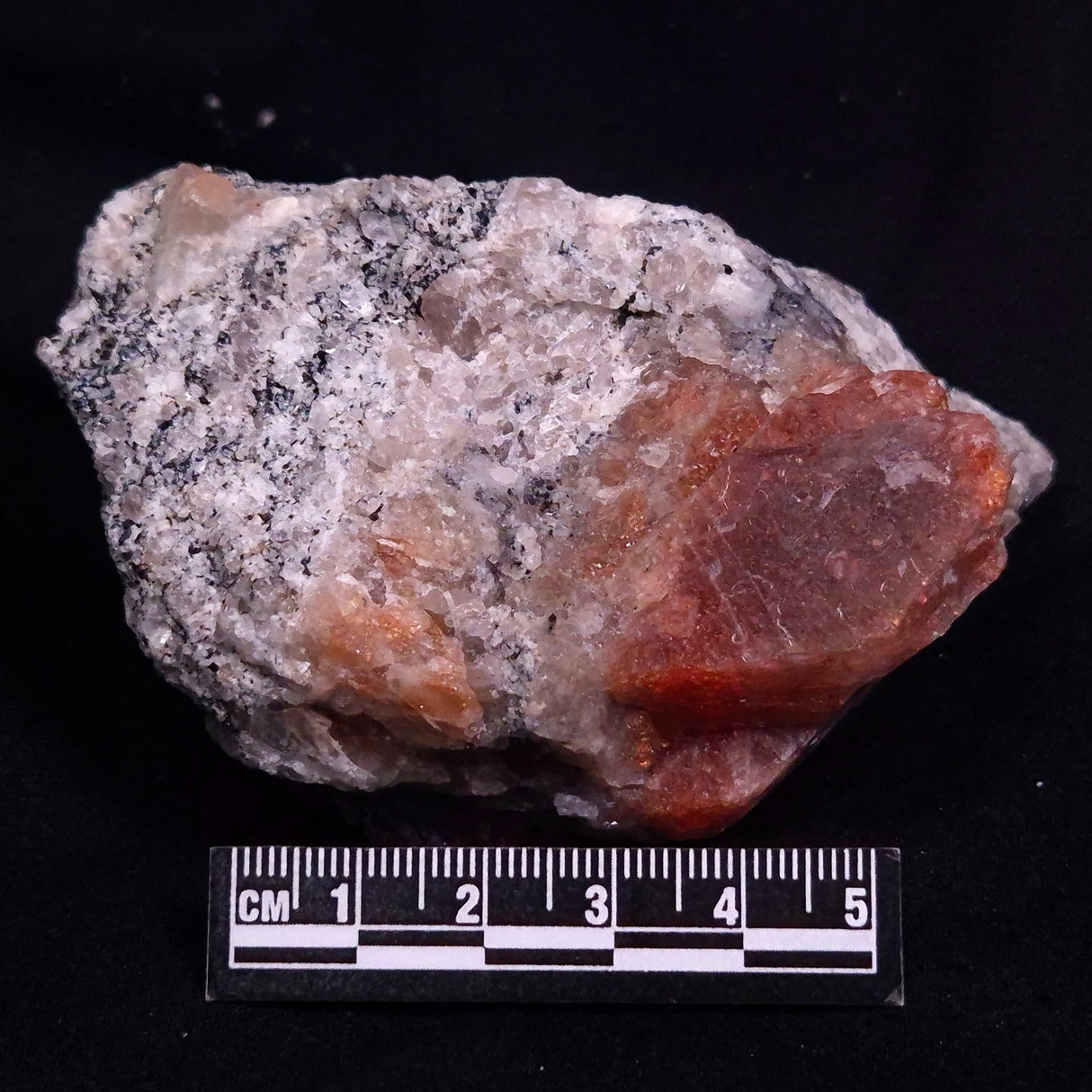 CONFETTI SUNSTONE, Australia XSU023