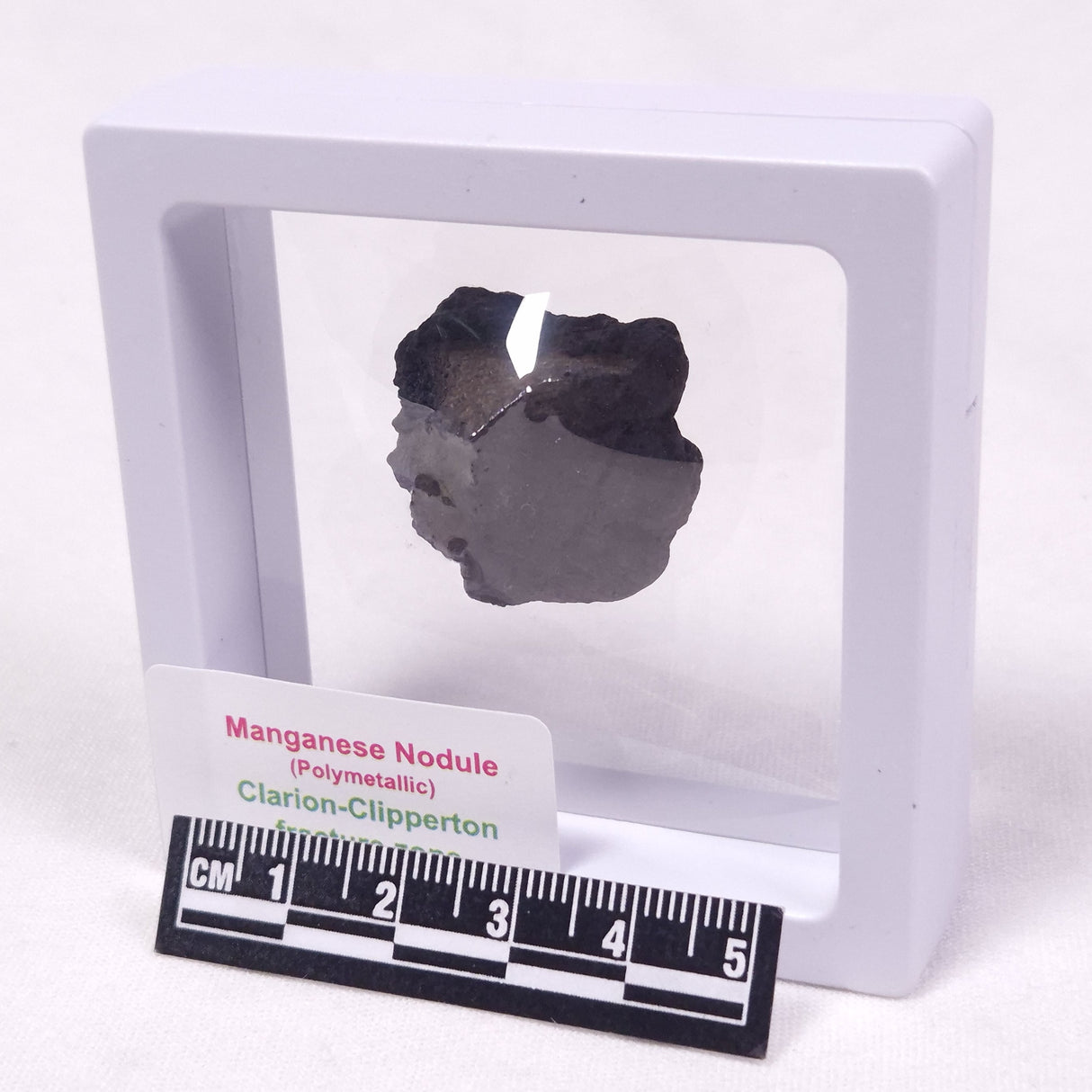 MANGANESE NODULE (POLYMETALLIC), Pacific Ocean XMN011
