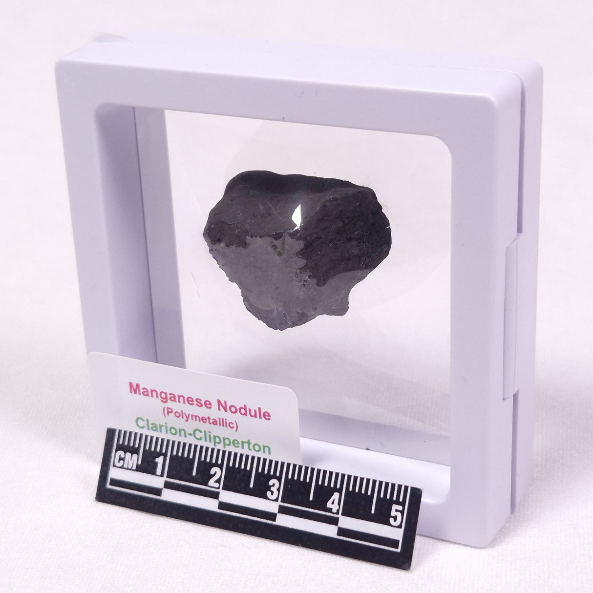MANGANESE NODULE (POLYMETALLIC), Pacific Ocean XMN013