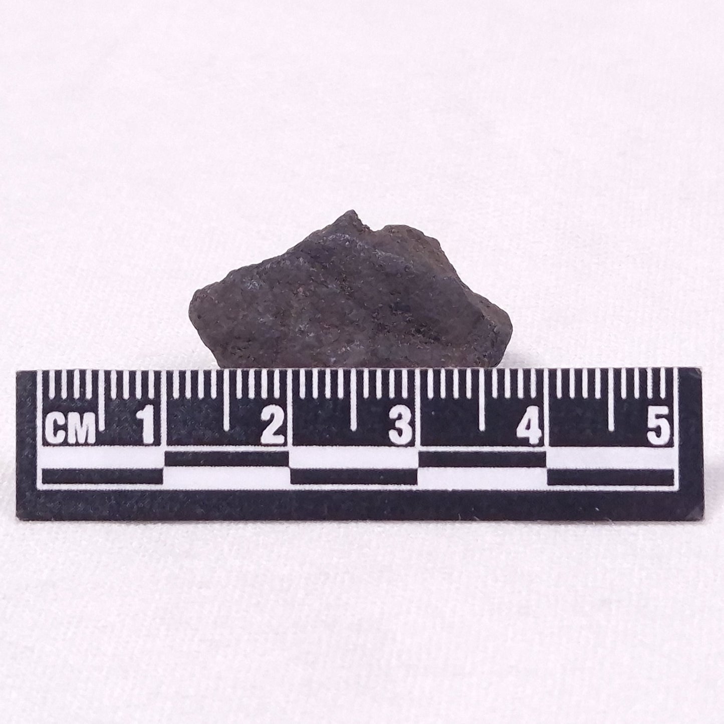 MANGANESE NODULE (POLYMETALLIC), Pacific Ocean XMN017