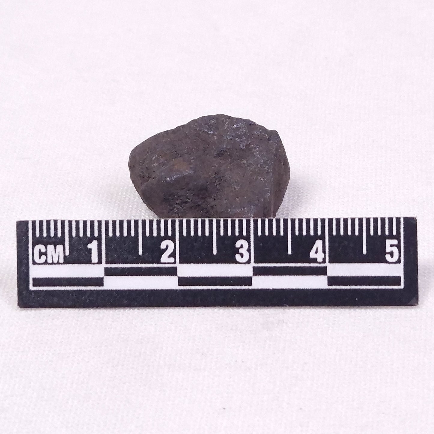 MANGANESE NODULE (POLYMETALLIC), Pacific Ocean XMN019
