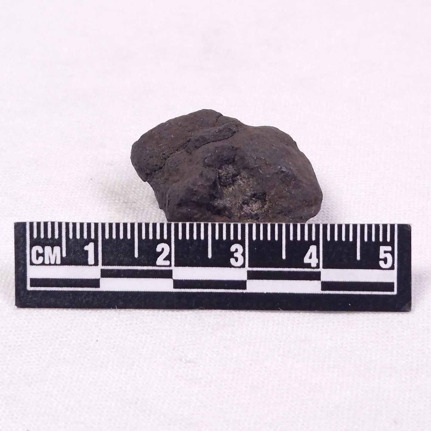MANGANESE NODULE (POLYMETALLIC), Pacific Ocean XMN020