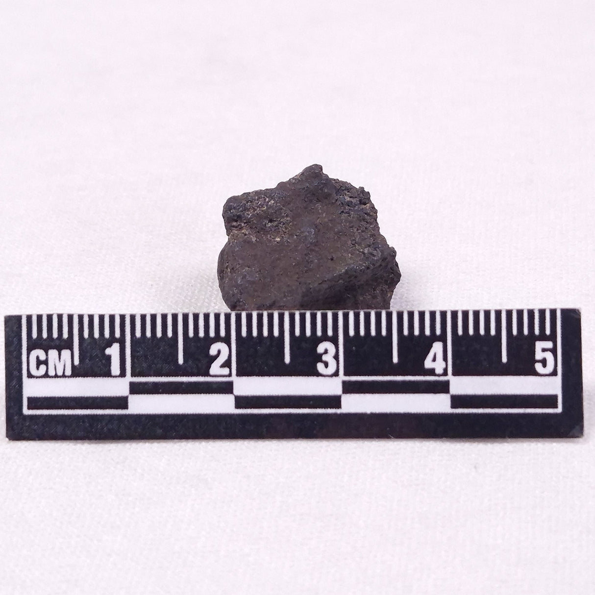 MANGANESE NODULE (POLYMETALLIC), Pacific Ocean XMN021