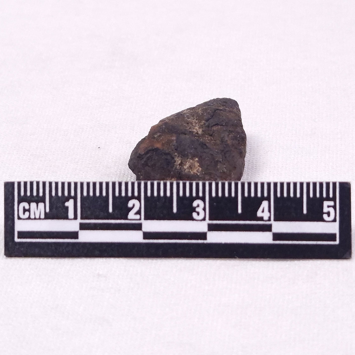 MANGANESE NODULE (POLYMETALLIC), Pacific Ocean XMN023