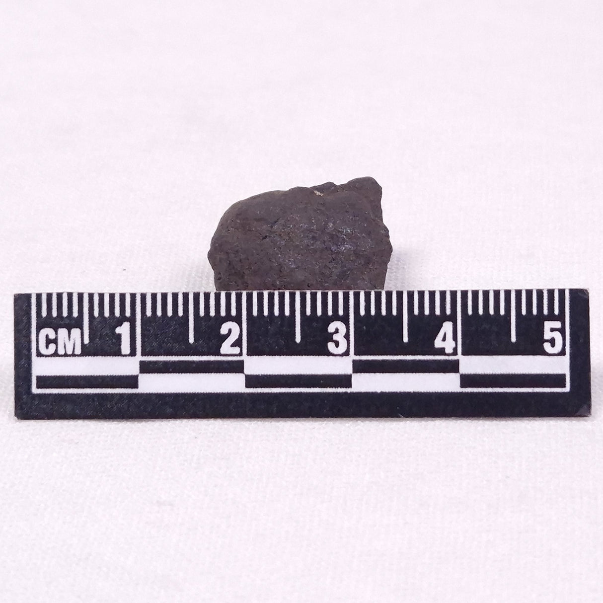 MANGANESE NODULE (POLYMETALLIC), Pacific Ocean XMN025