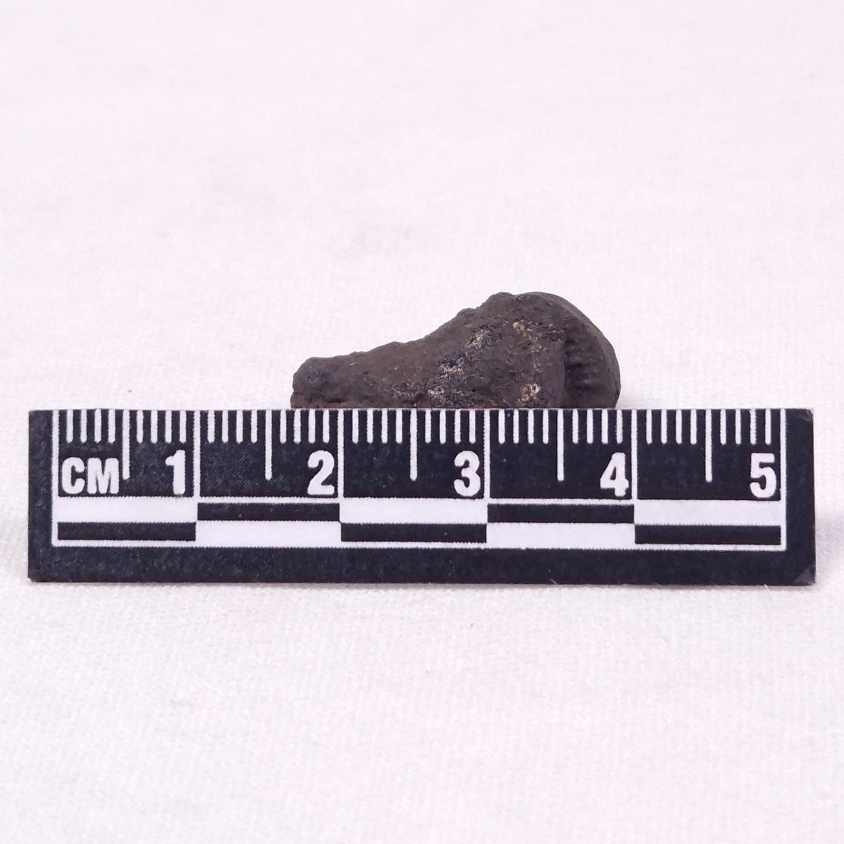 MANGANESE NODULE (POLYMETALLIC), Pacific Ocean XMN026