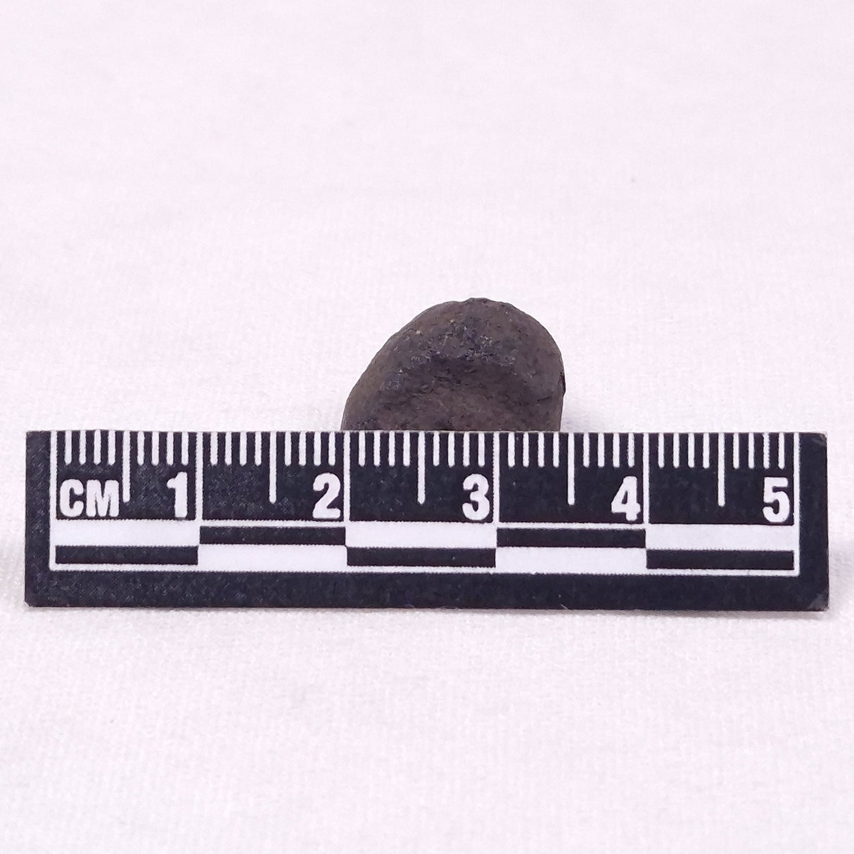 MANGANESE NODULE (POLYMETALLIC), Pacific Ocean XMN028