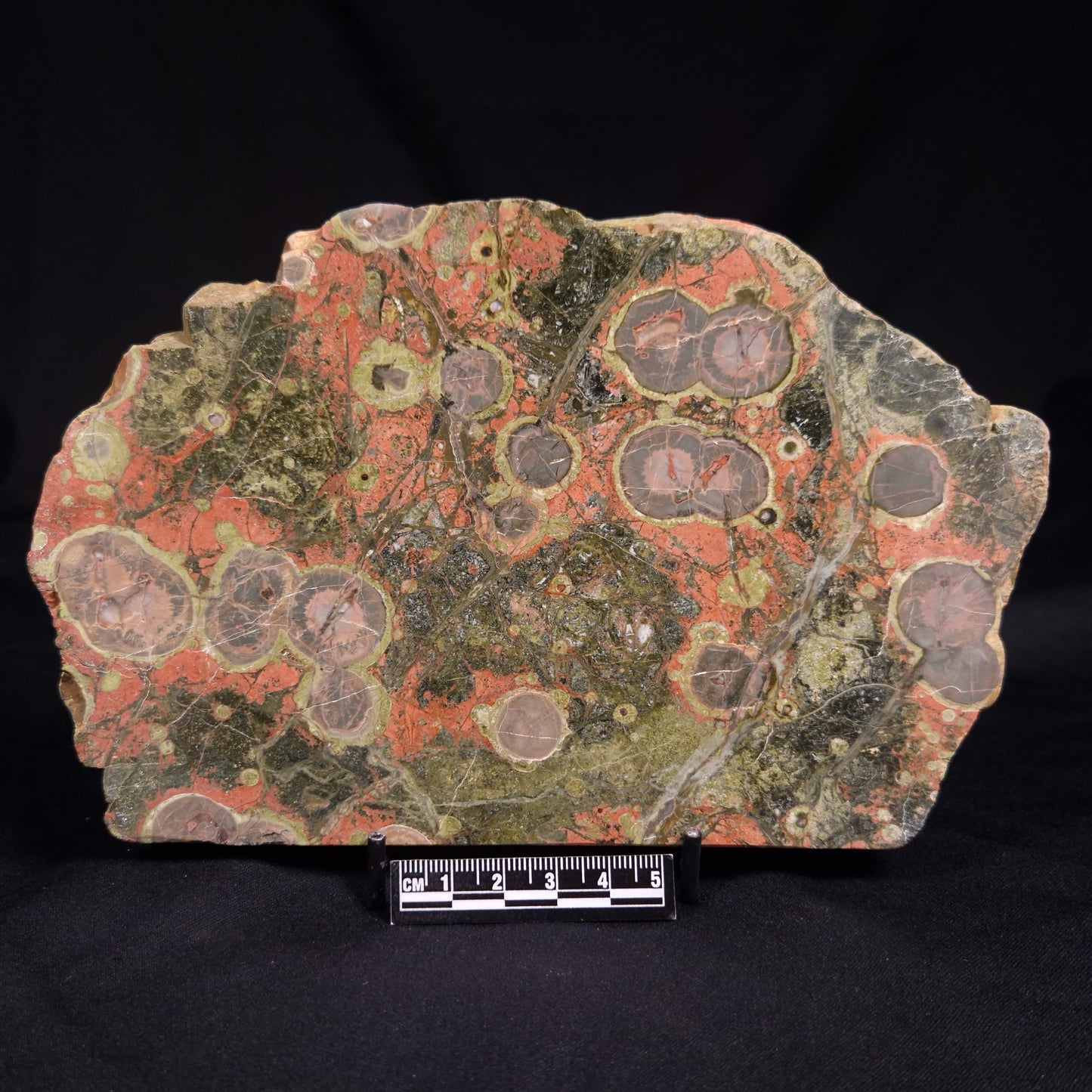 RHYOLITE (RAINFOREST JASPER), Australia YSC116