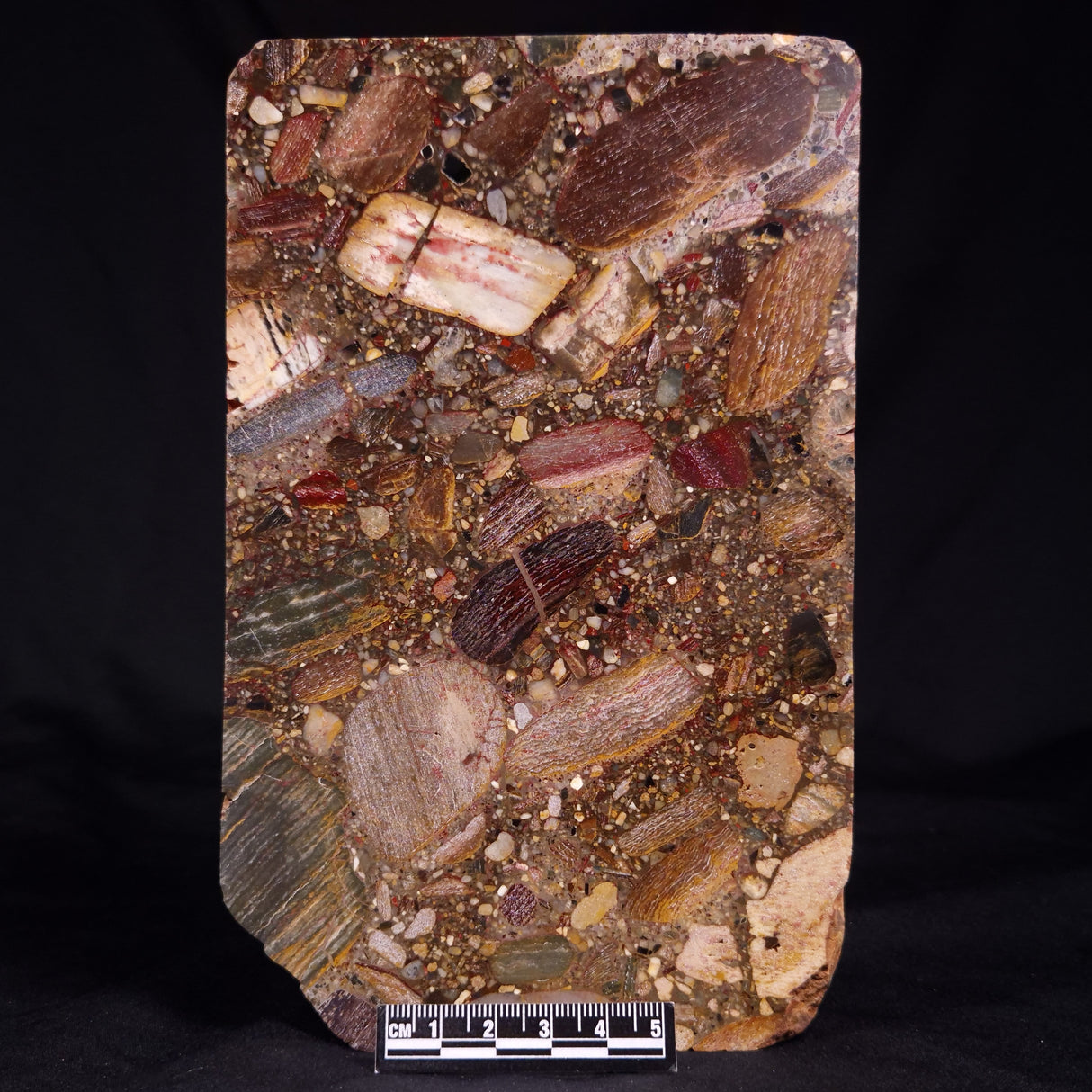 CONGLOMERATE, Australia YSC123