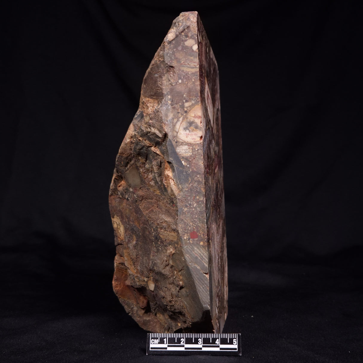 CONGLOMERATE, Australia YSC123