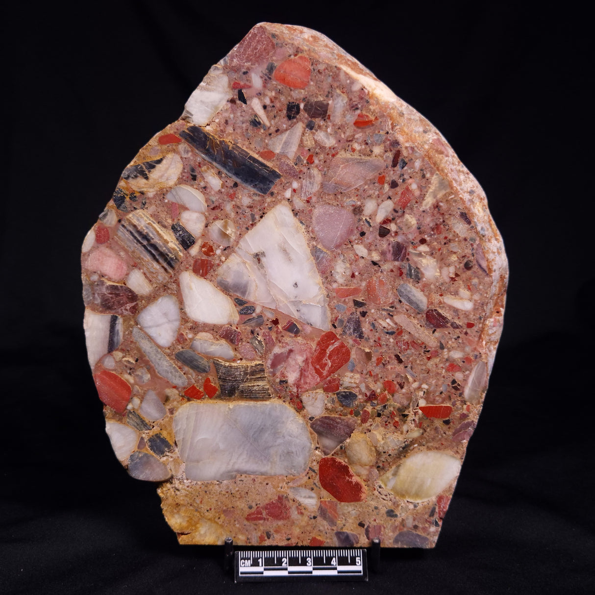 CONGLOMERATE, Australia YSC125