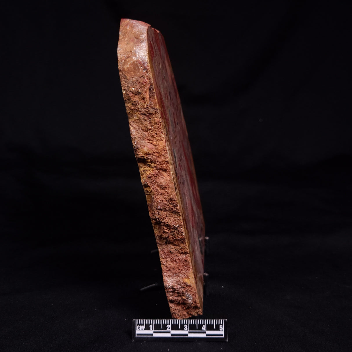 CONGLOMERATE, Australia YSC126