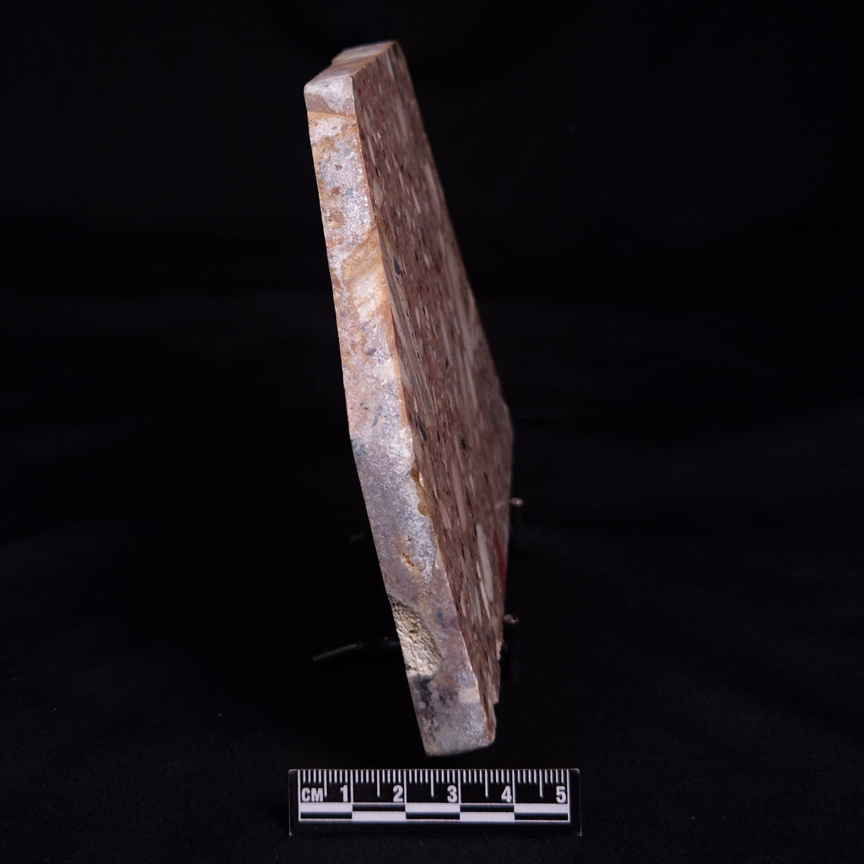 CONGLOMERATE, Australia YSC127