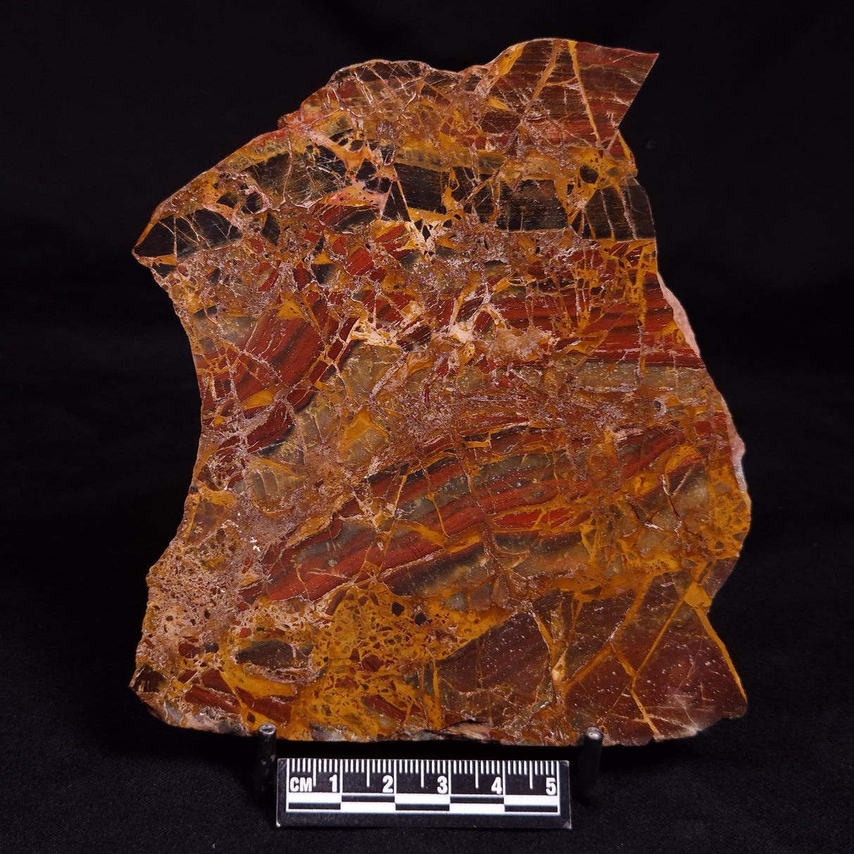 CONGLOMERATE, Australia YSC128