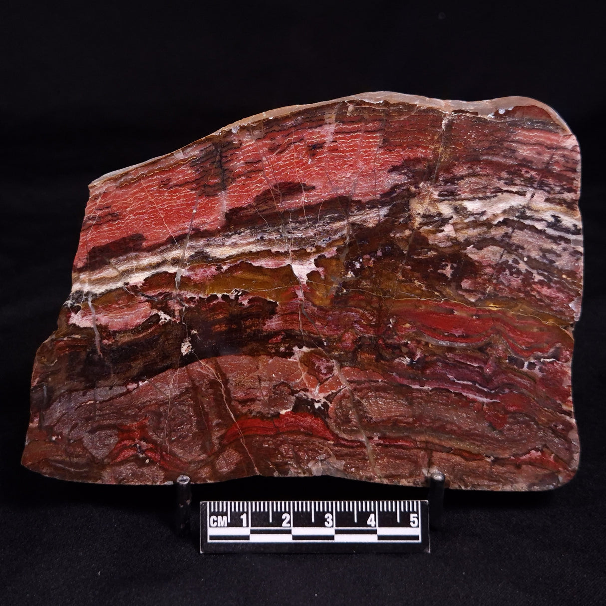 SNAKESKIN JASPER, Australia YSC129
