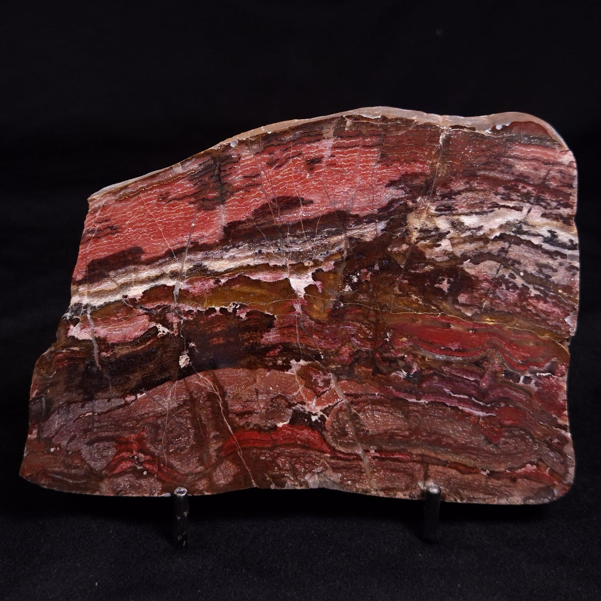 SNAKESKIN JASPER, Australia YSC129
