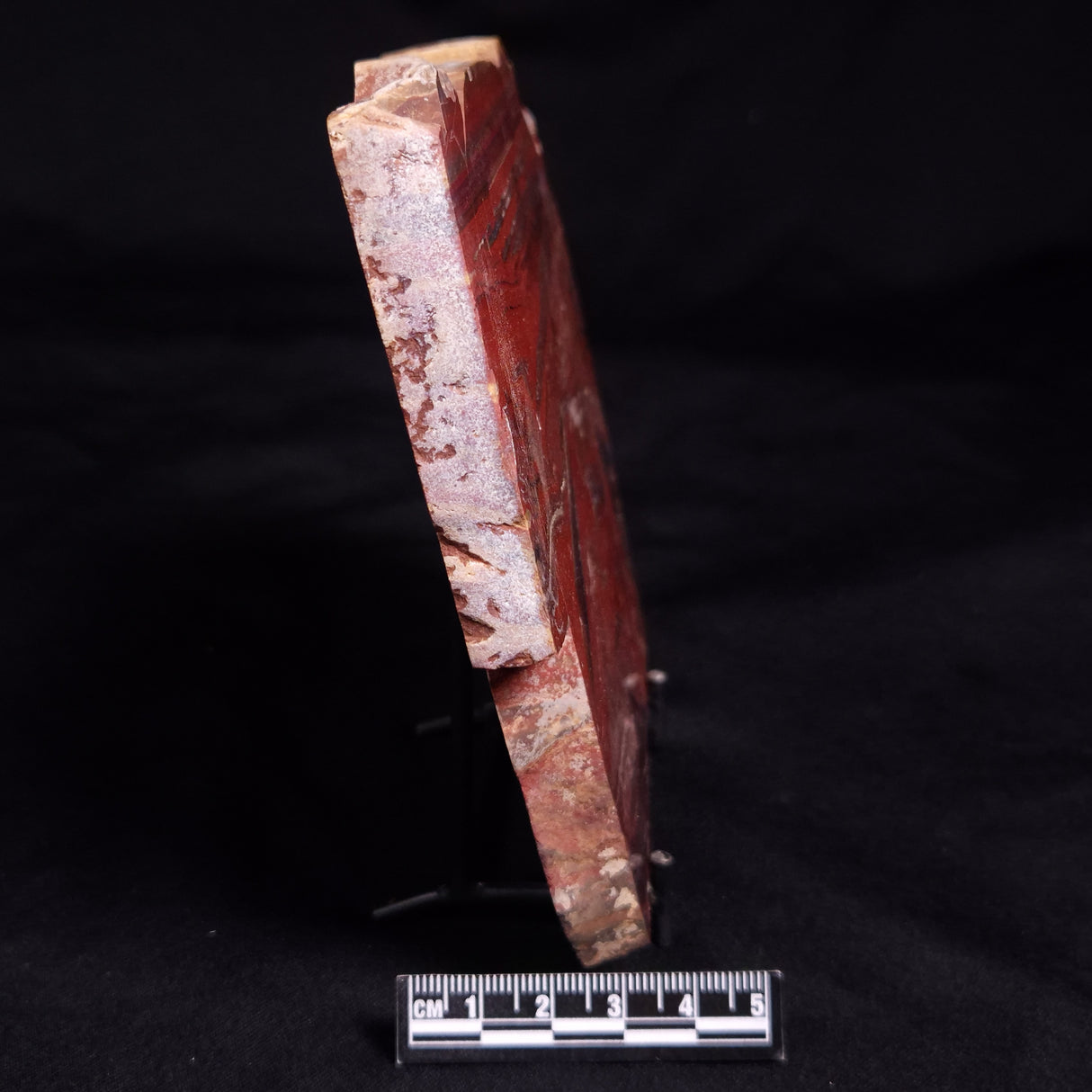 SNAKESKIN JASPER, Australia YSC130