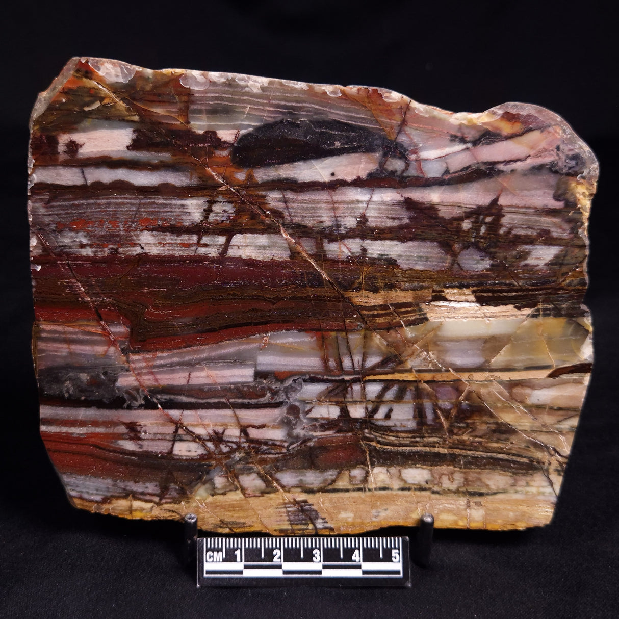OUTBACK JASPER, Australia YSC131
