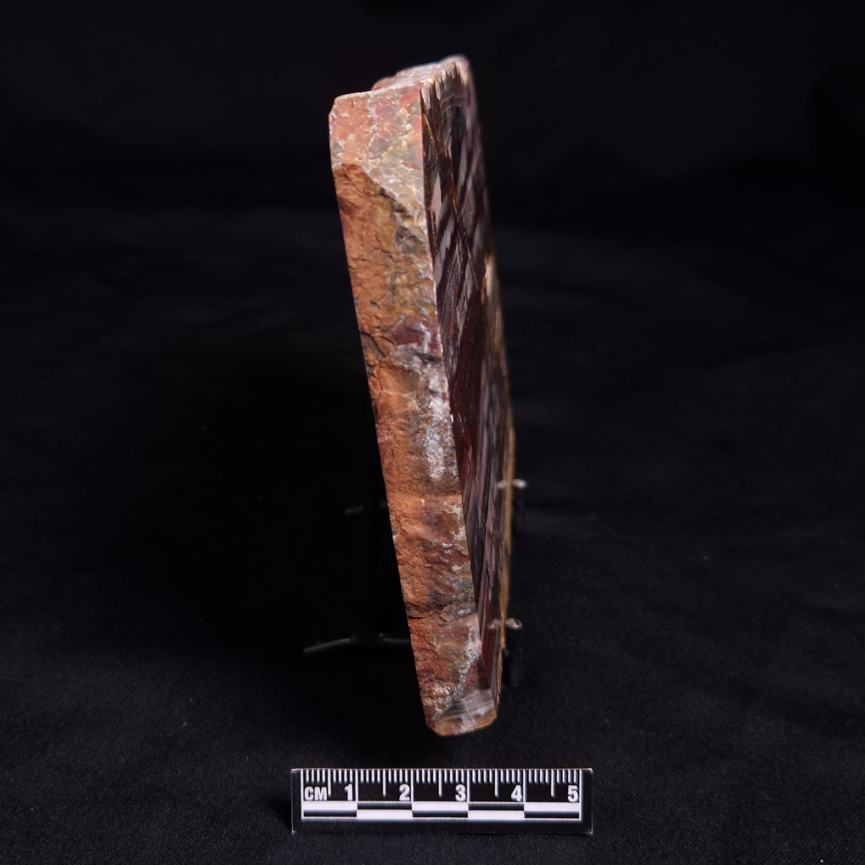 OUTBACK JASPER, Australia YSC131