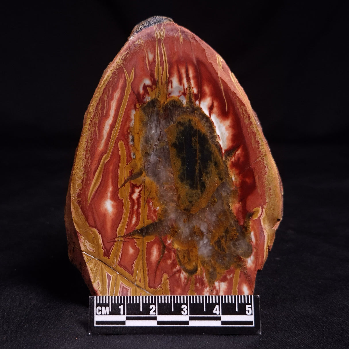 PARABURDOO PODS, Australia YSC137