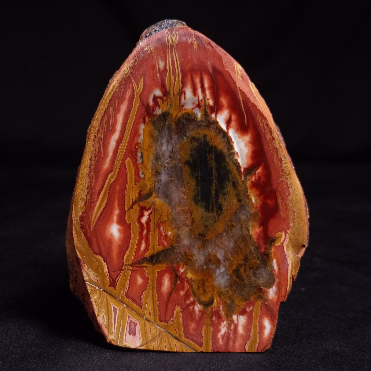 PARABURDOO PODS, Australia YSC137