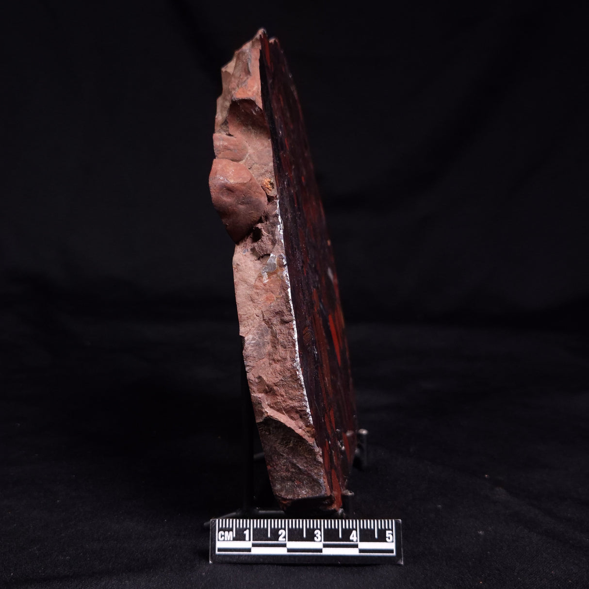 CONGLOMERATE HEMATITE AND JASPER, Australia YSC138
