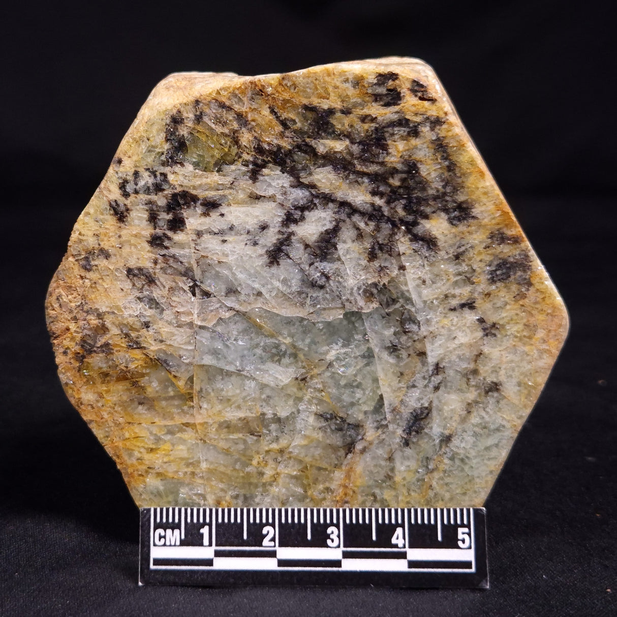 BERYL, Australia YSC139