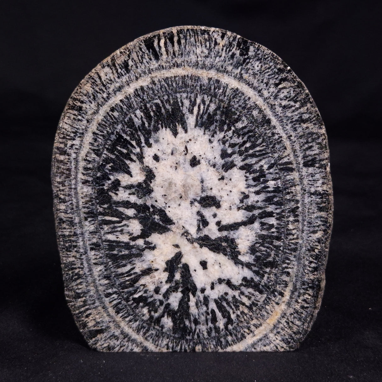 ORBICULAR GRANITE NODULE, Australia YSC142