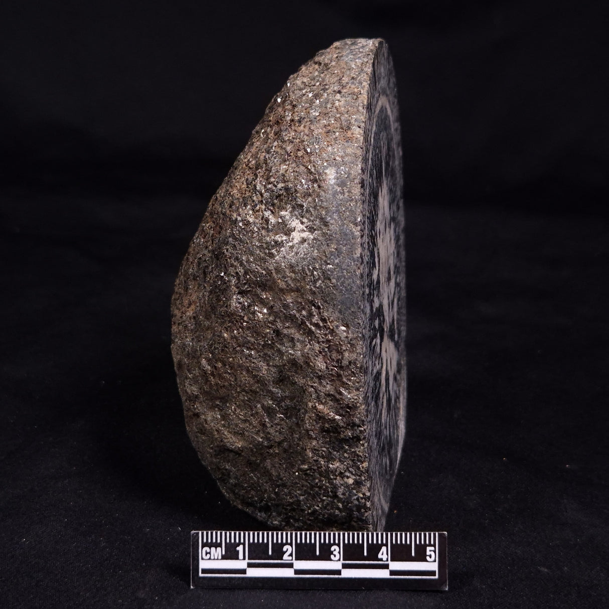 ORBICULAR GRANITE NODULE, Australia YSC142