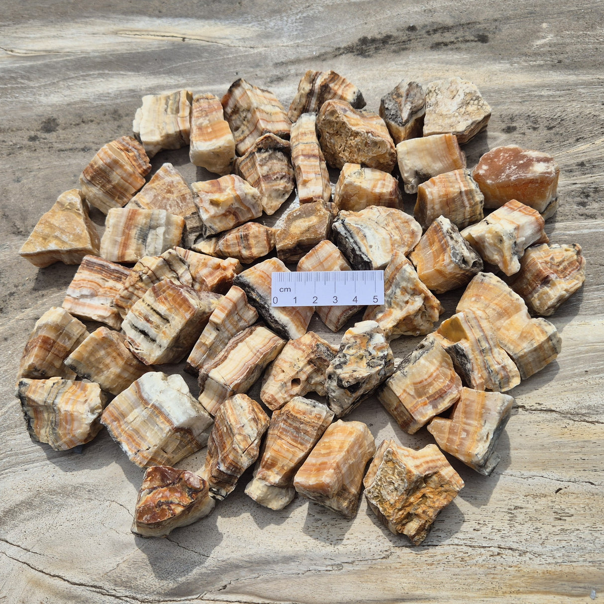 ROUGH TRAVERTINE, Pakistan XRB005