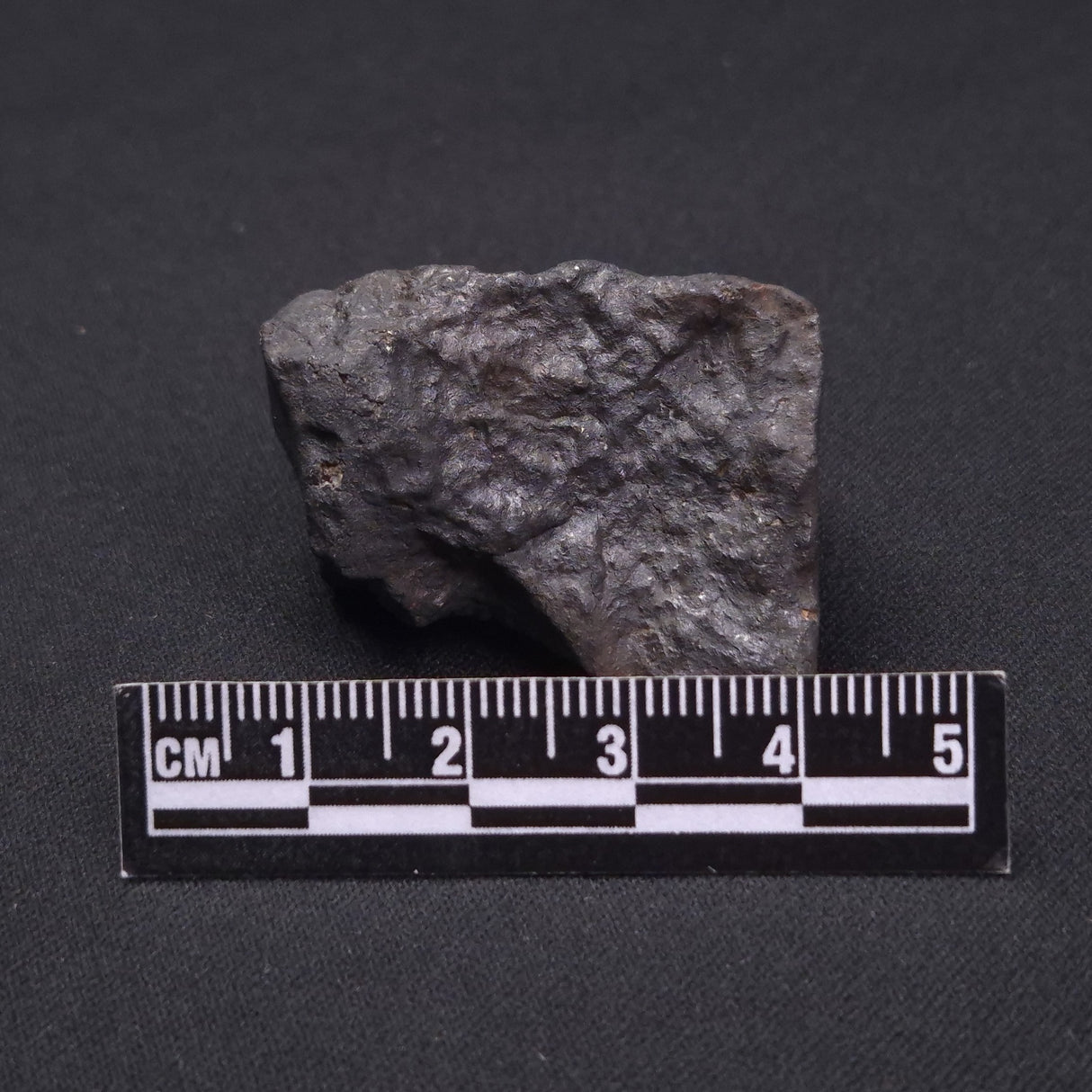 WILUNA METEORITE, H5 Chondrite, Australia YWM002
