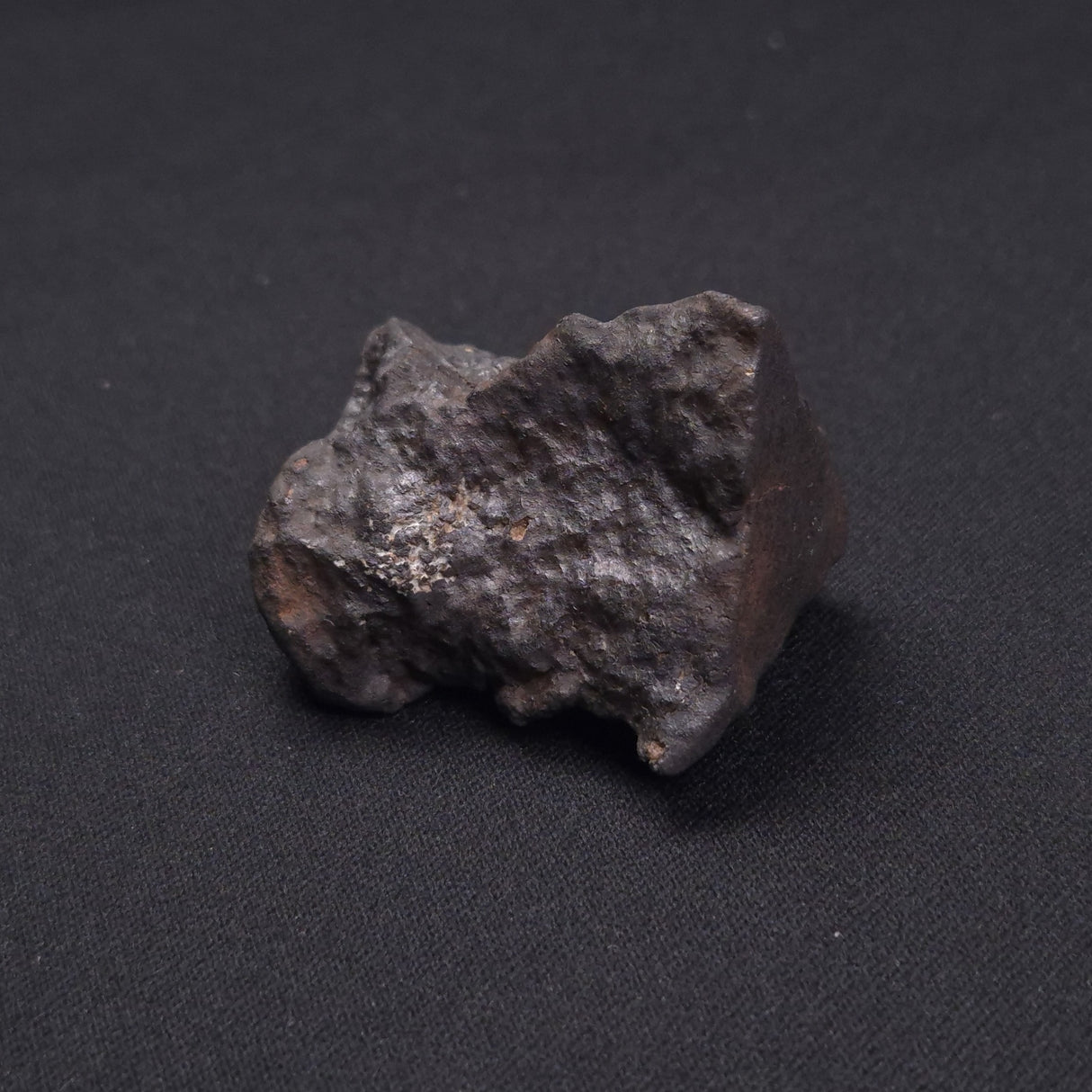 WILUNA METEORITE, H5 Chondrite, Australia YWM002