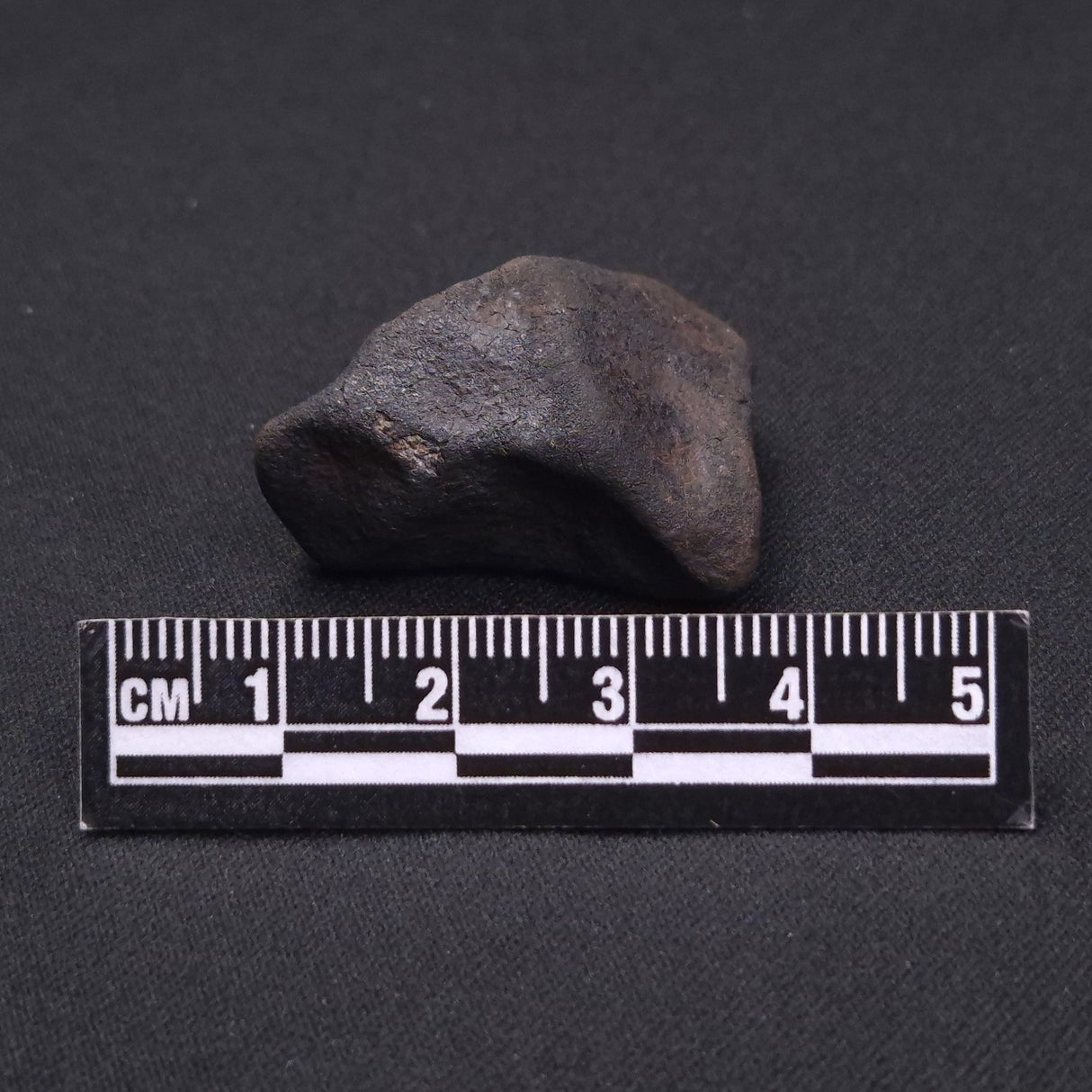 WILUNA METEORITE, H5 Chondrite, Australia YWM005