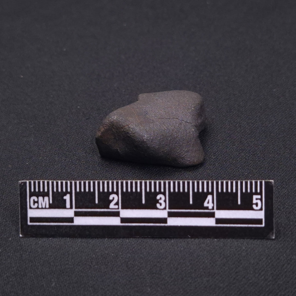 WILUNA METEORITE, H5 Chondrite, Australia YWM006