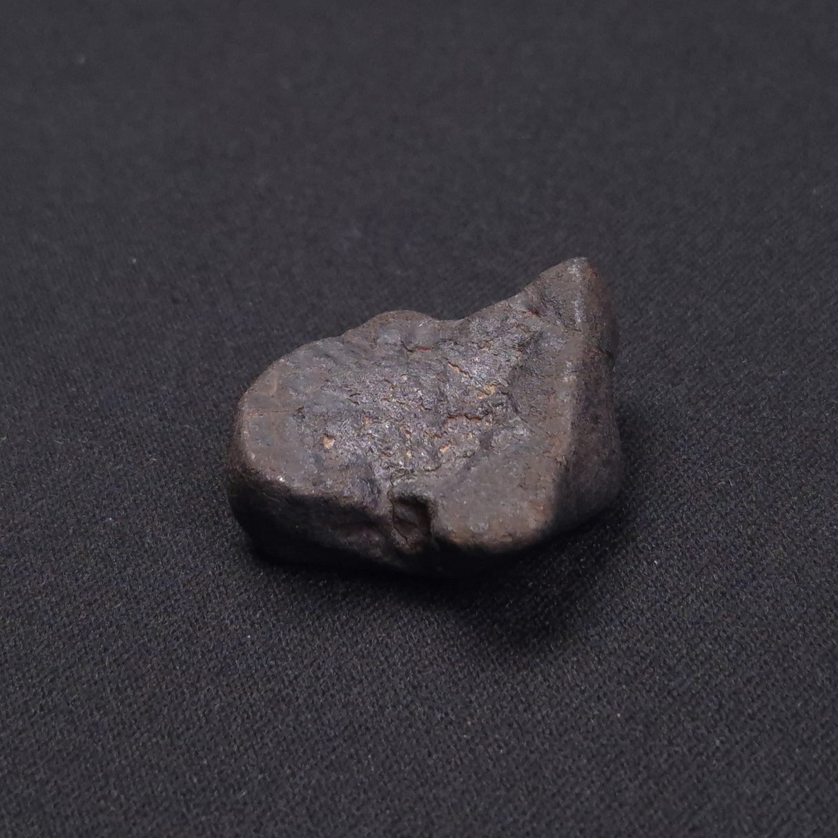 WILUNA METEORITE, H5 Chondrite, Australia YWM006