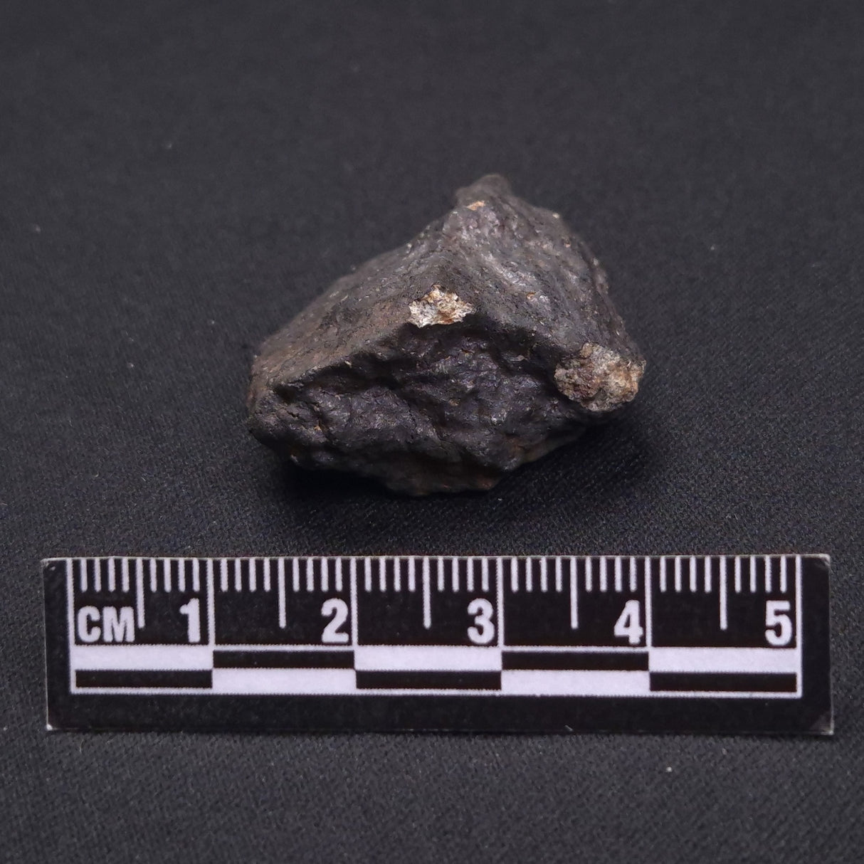 WILUNA METEORITE, H5 Chondrite, Australia YWM008