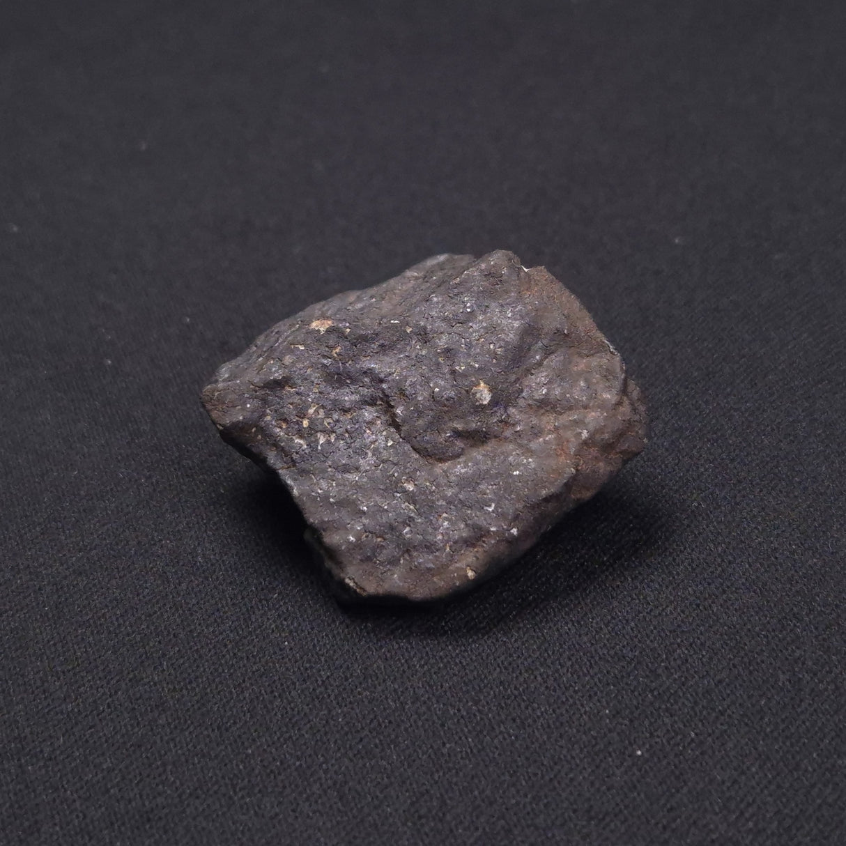 WILUNA METEORITE, H5 Chondrite, Australia YWM008