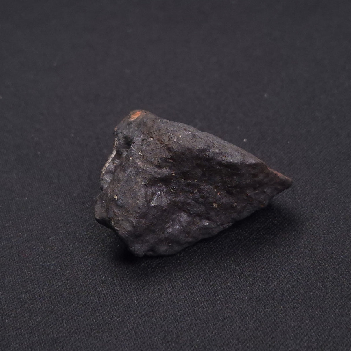 WILUNA METEORITE, H5 Chondrite, Australia YWM009