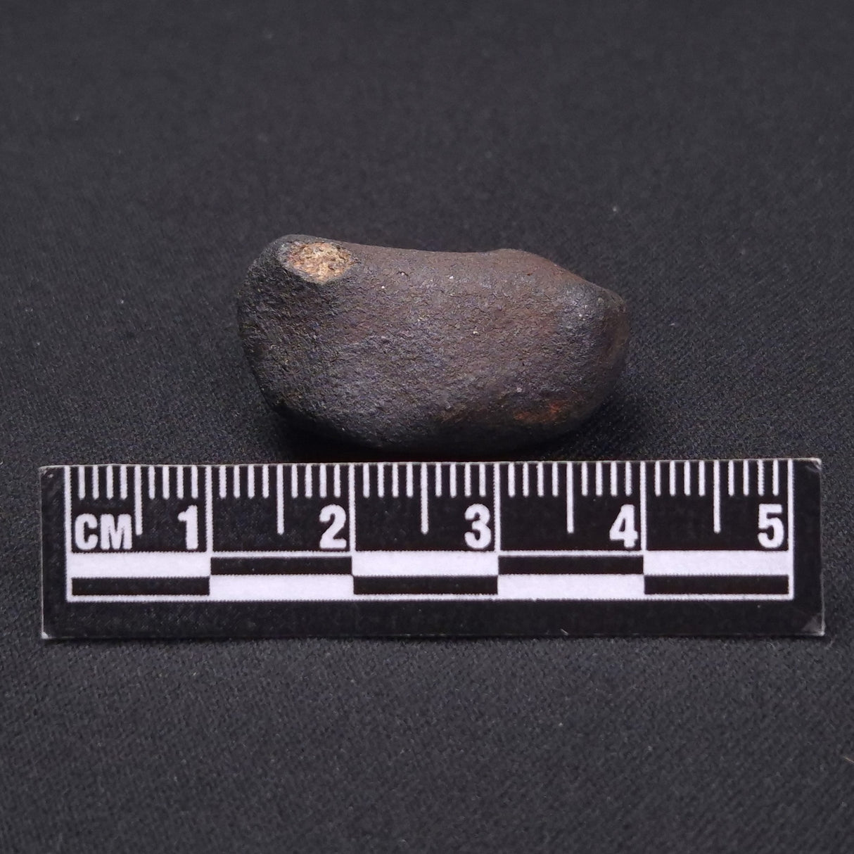 WILUNA METEORITE, H5 Chondrite, Australia YWM010