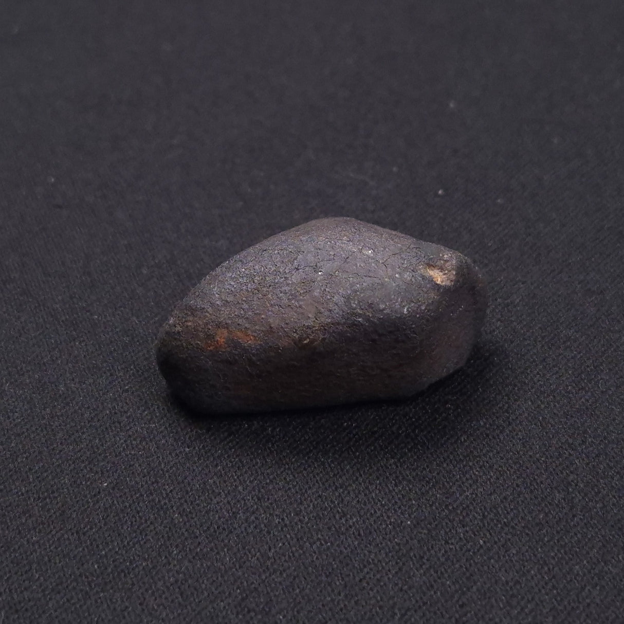 WILUNA METEORITE, H5 Chondrite, Australia YWM010